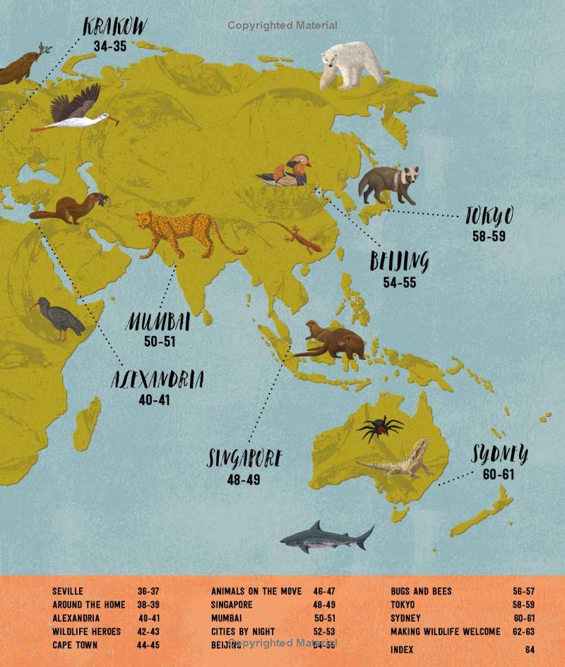 wild city: meet the animals who share our city spaces - Ảnh 8