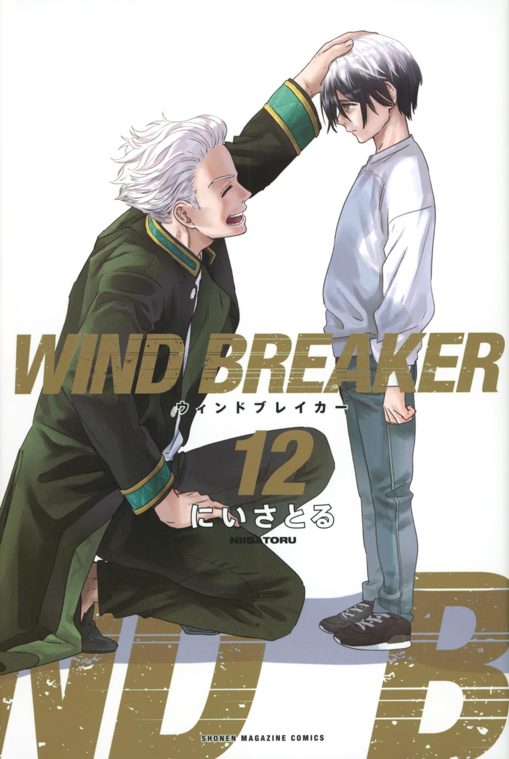 wind breaker 12 - Ảnh 2