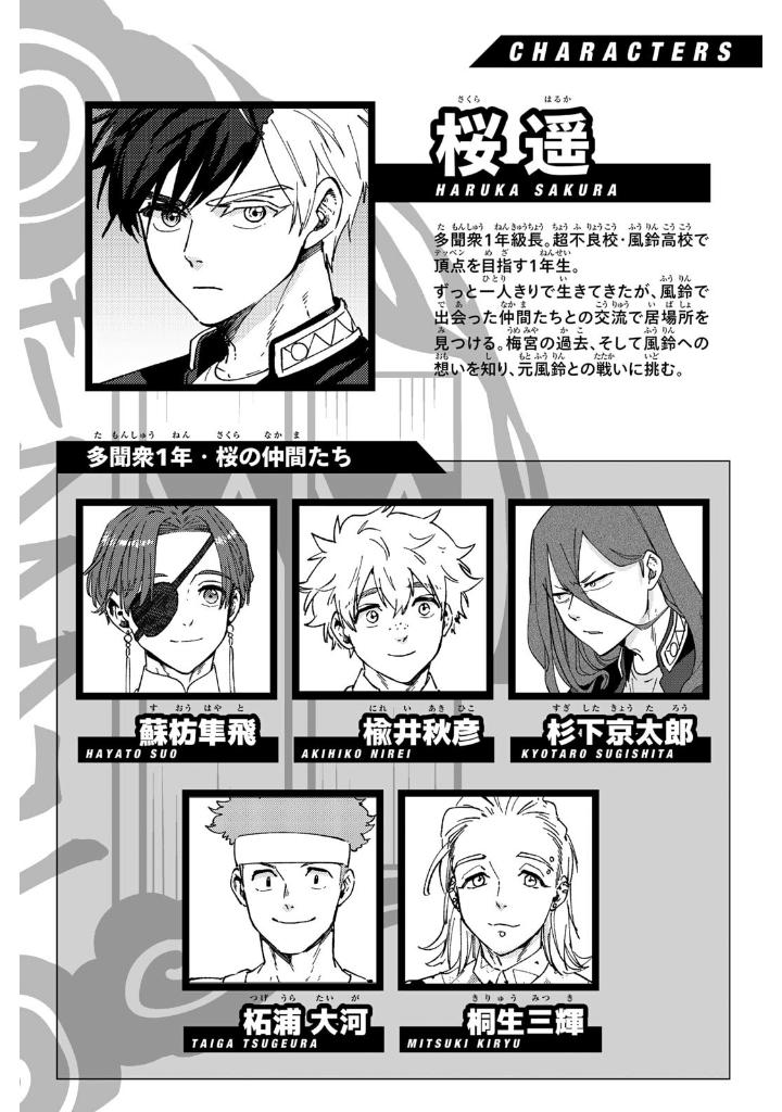 wind breaker 14 - Ảnh 3