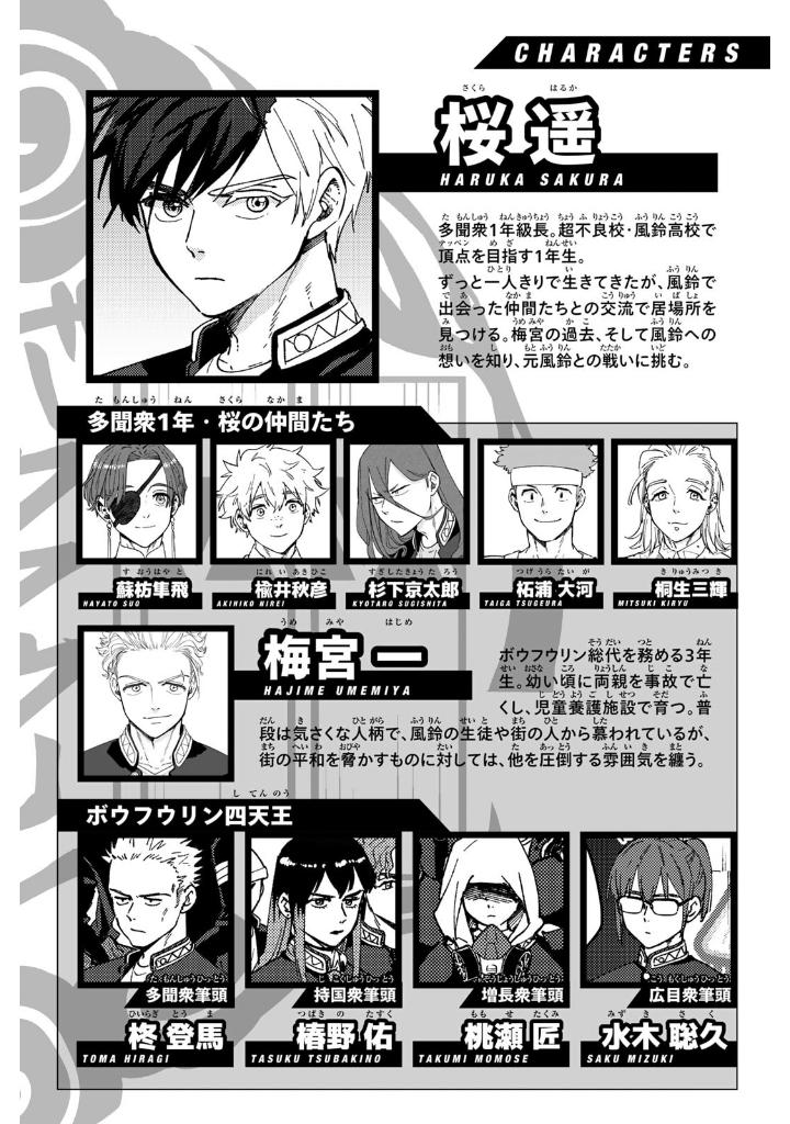 wind breaker 16 - Ảnh 3