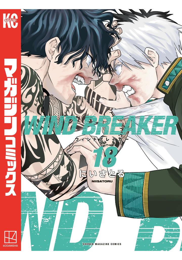 wind breaker 18 - Ảnh 3