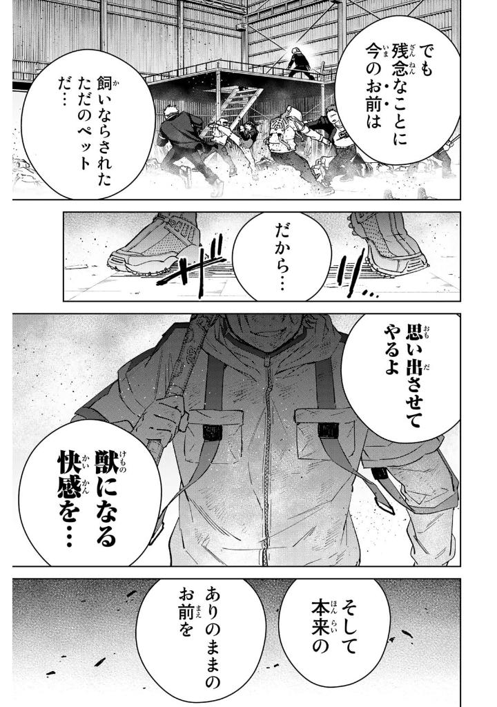 wind breaker 7 - Ảnh 6