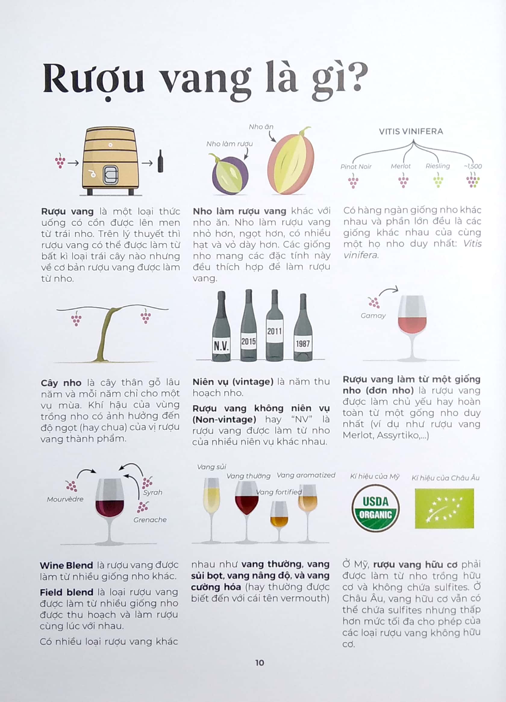 wine folly toàn tập (phiên bản magnum) - Ảnh 6