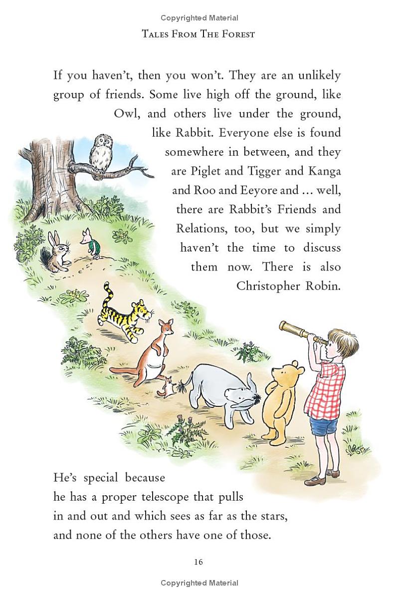 winnie-the-pooh - tales from the forest - Ảnh 14