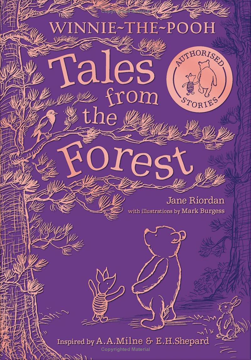 winnie-the-pooh - tales from the forest - Ảnh 2