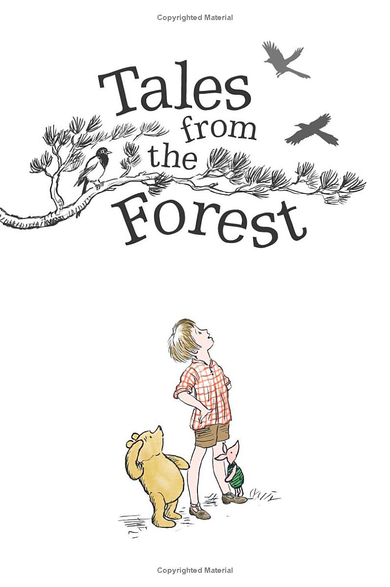 winnie-the-pooh - tales from the forest - Ảnh 4