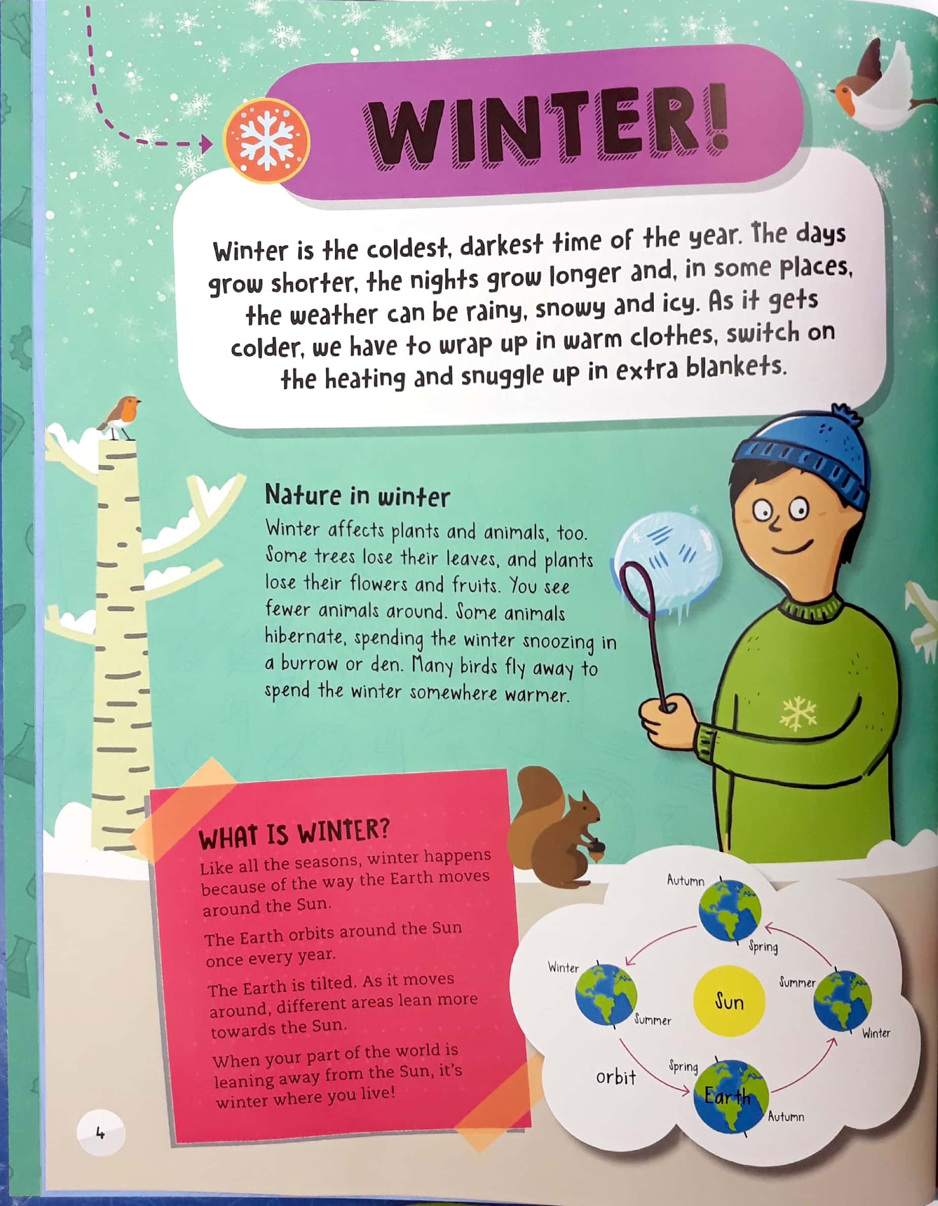 winter (steam through the seasons) - Ảnh 4