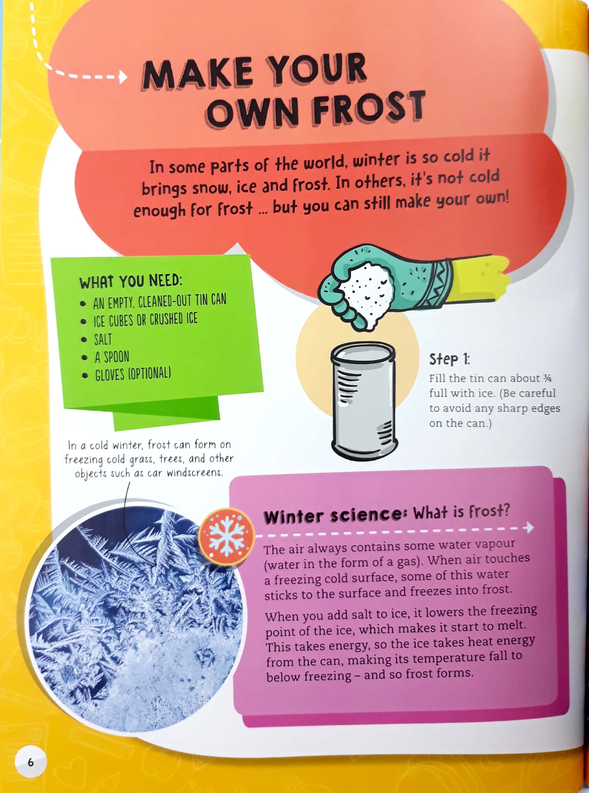 winter (steam through the seasons) - Ảnh 7