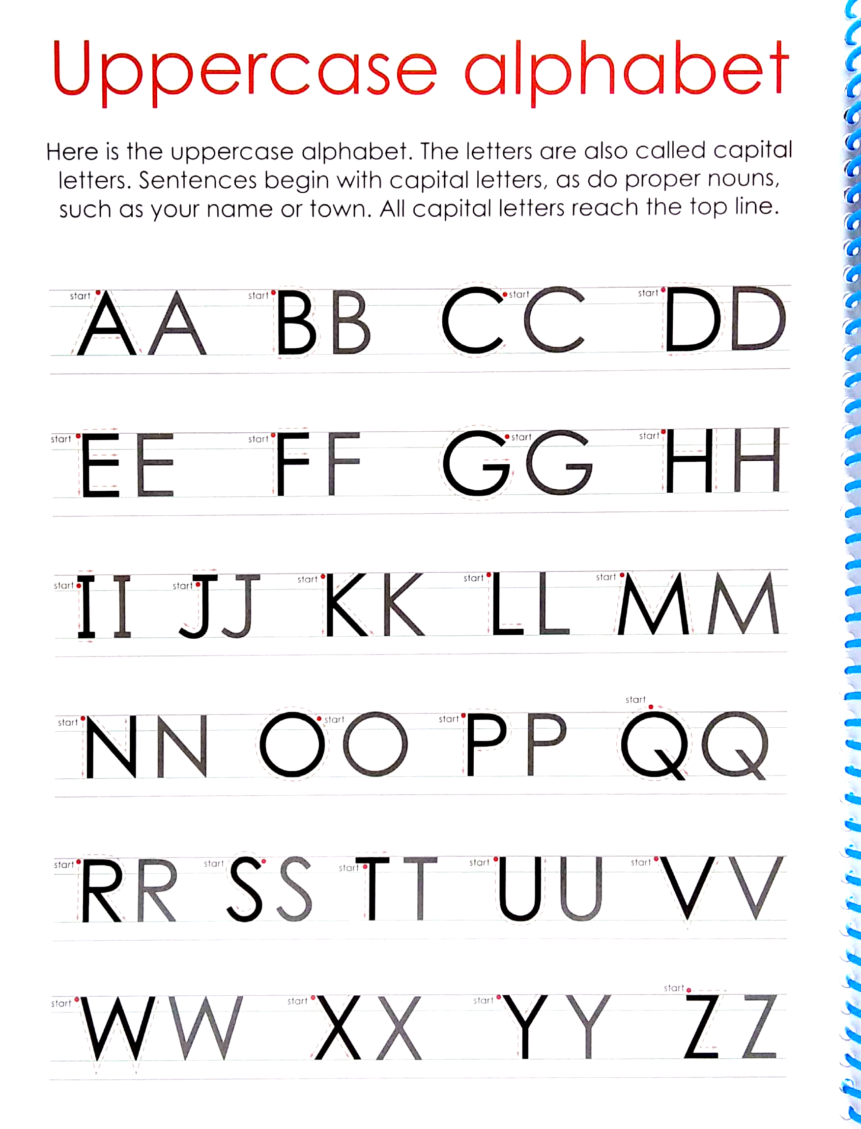 wipe clean: first 100 words - extended edition: includes wipe-clean pen - Ảnh 5