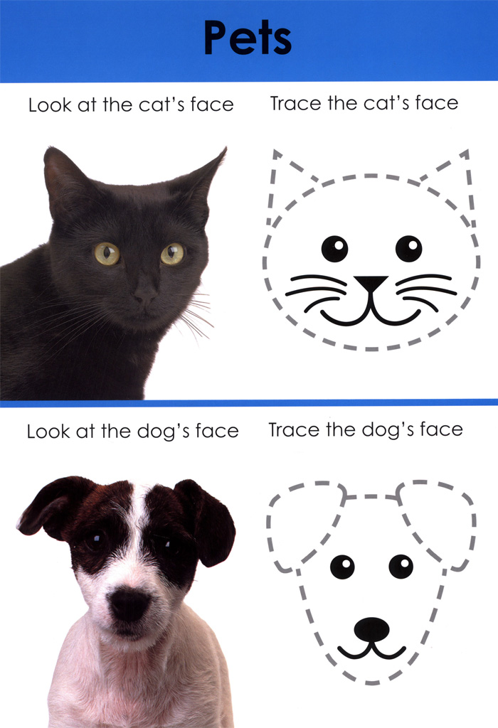 wipe clean workbook tracing and pen control - Ảnh 7