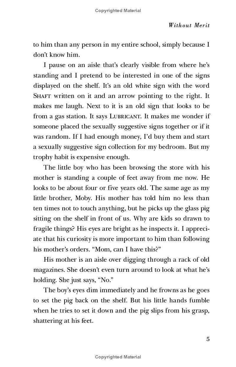 without merit - Ảnh 10