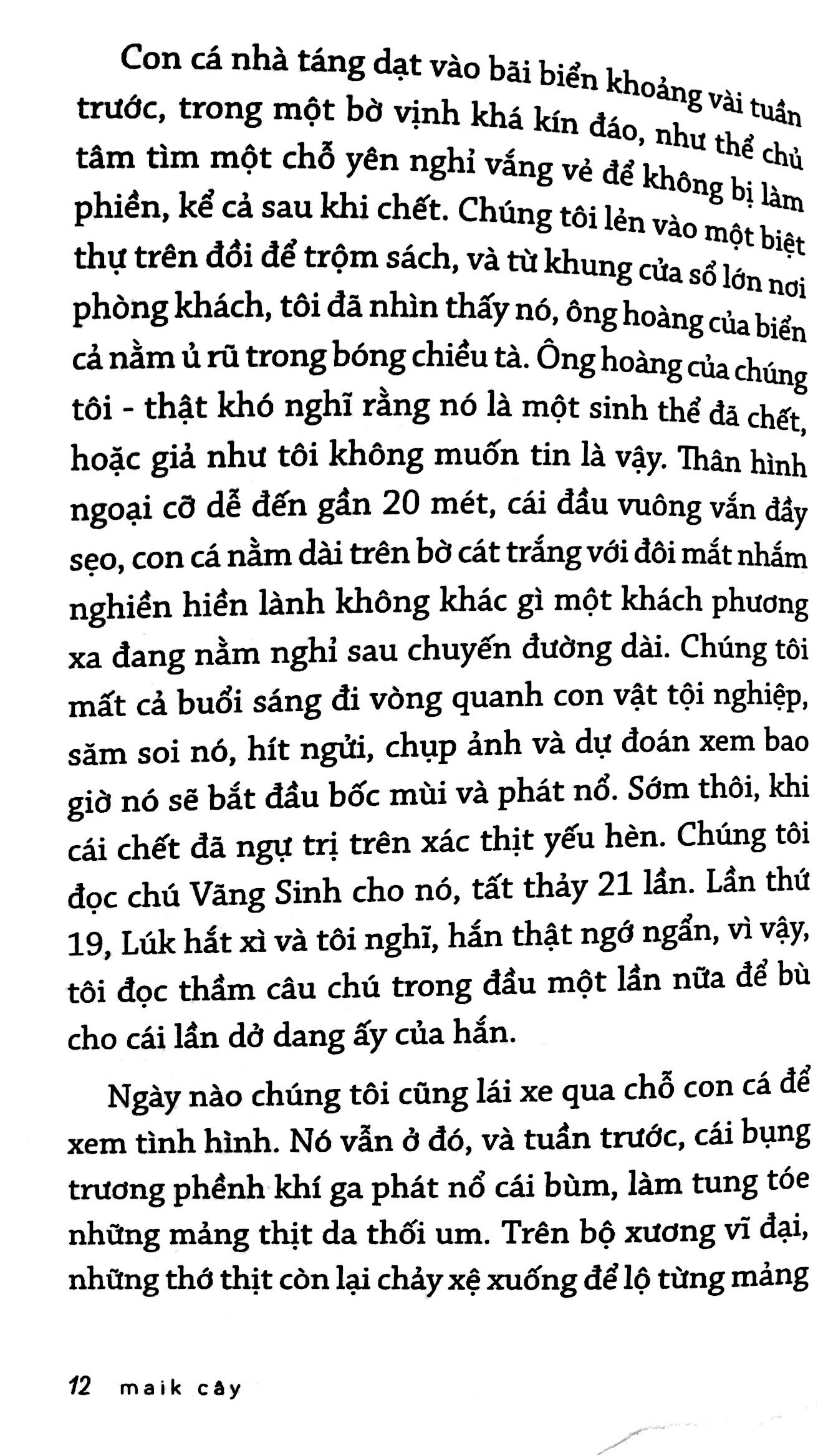 wittgenstein của thiên đường đen - Ảnh 9