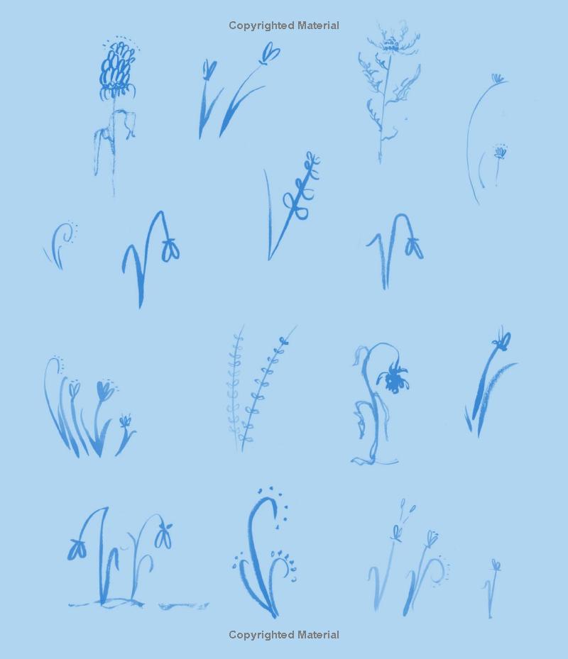 wolf and bear - Ảnh 7