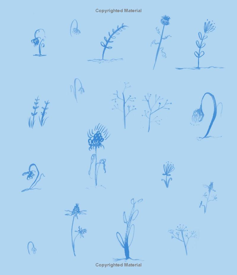 wolf and bear - Ảnh 8