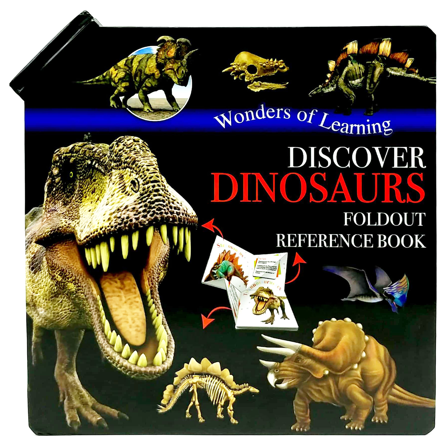 wonder of learning - discover dinosaurs foldout reference book - Ảnh 2