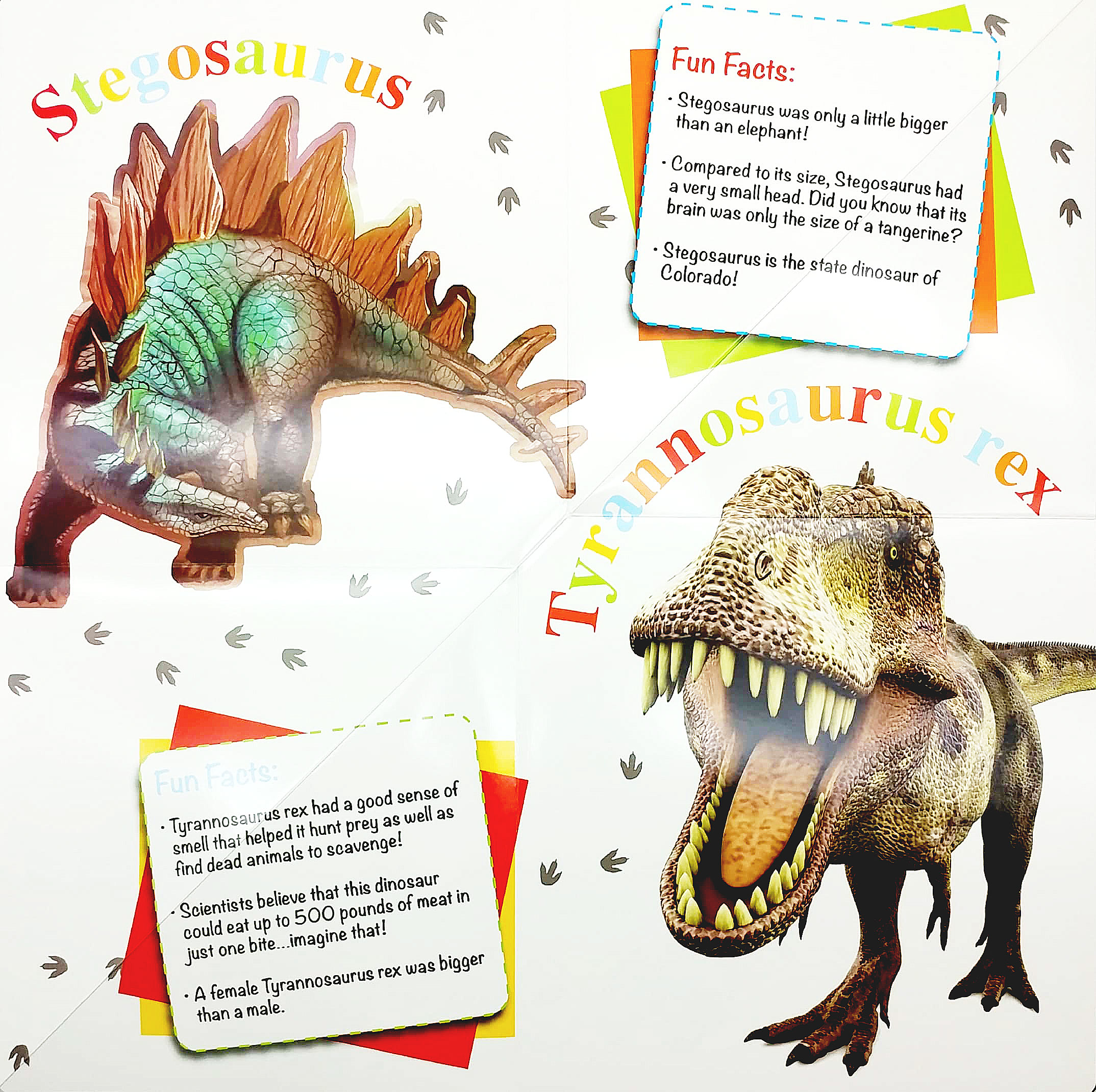 wonder of learning - discover dinosaurs foldout reference book - Ảnh 3