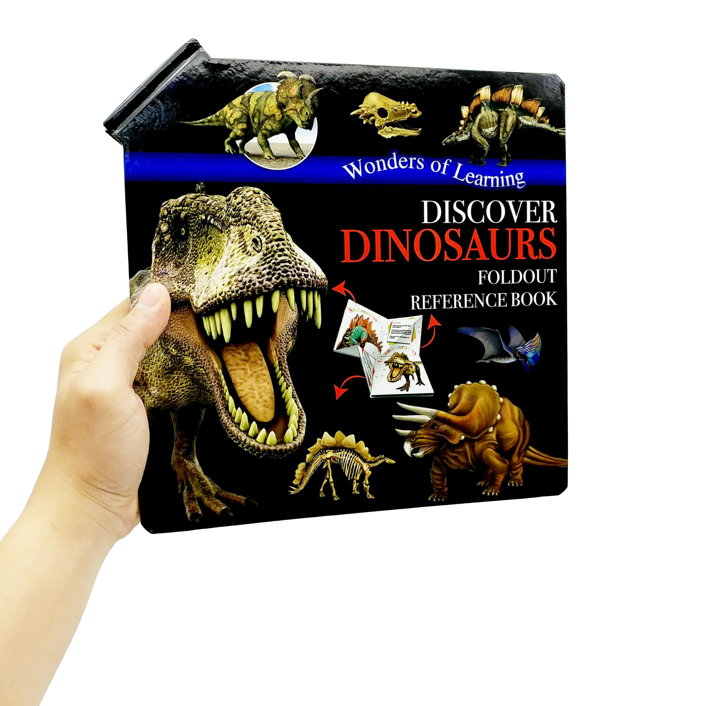 wonder of learning - discover dinosaurs foldout reference book - Ảnh 6