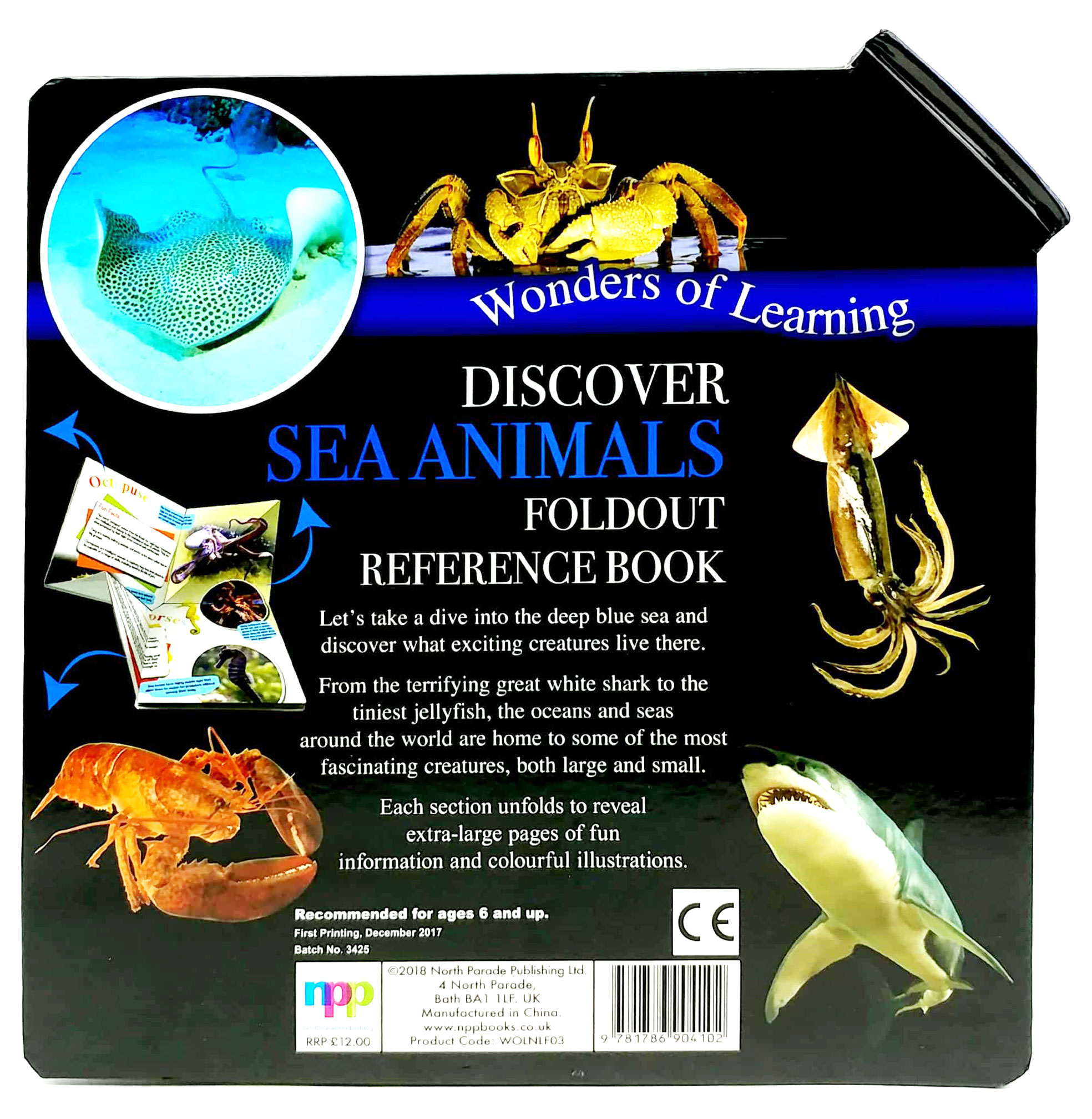 wonder of learning - discover sea animals foldout reference book - Ảnh 5