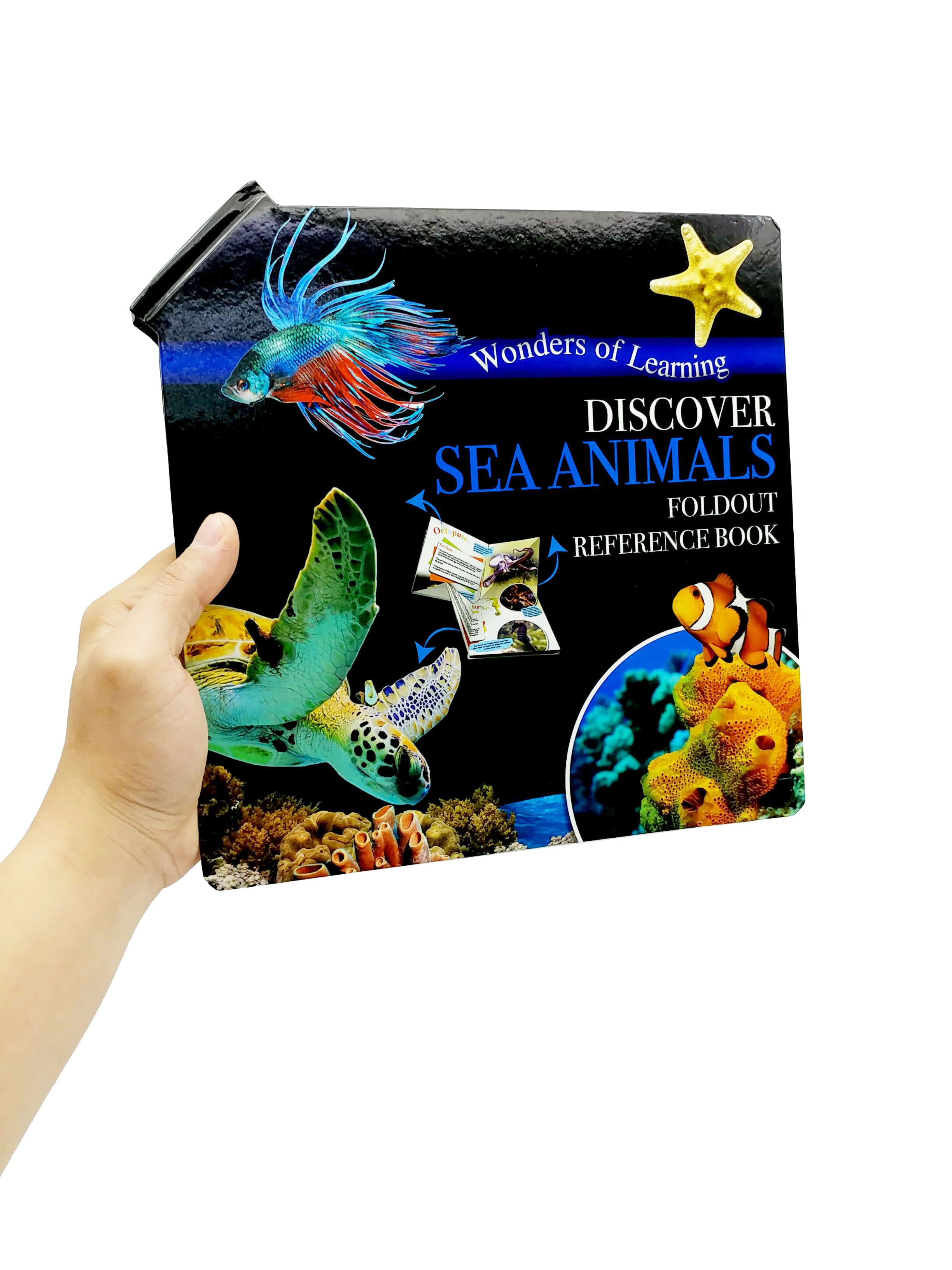 wonder of learning - discover sea animals foldout reference book - Ảnh 6