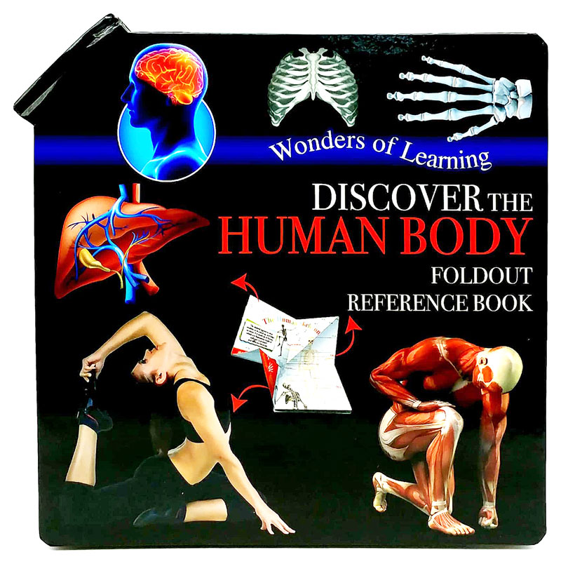 wonder of learning - discover the human body foldout reference book - Ảnh 2