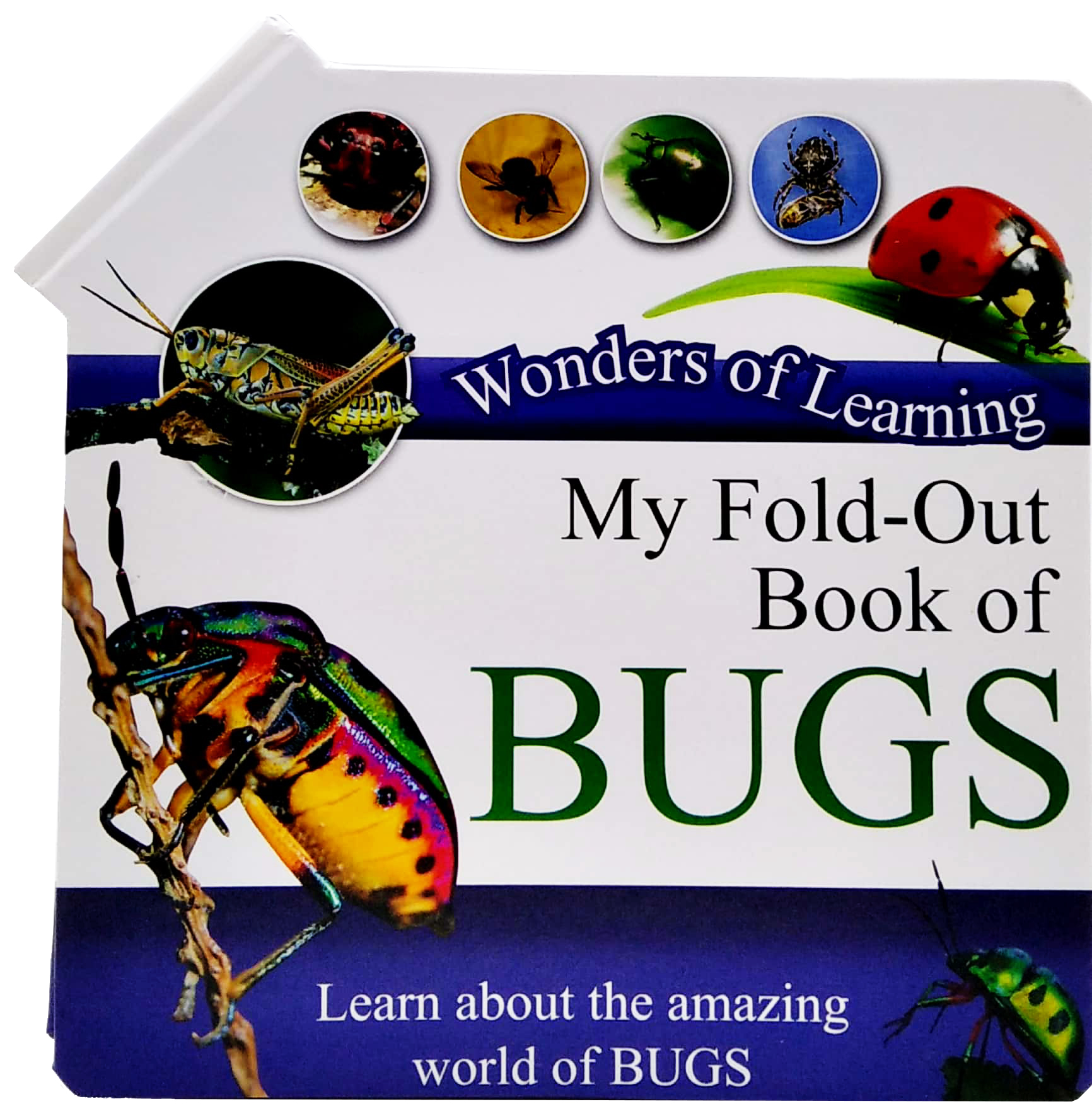 wonder of learning - my fold-out book of bugs - Ảnh 2