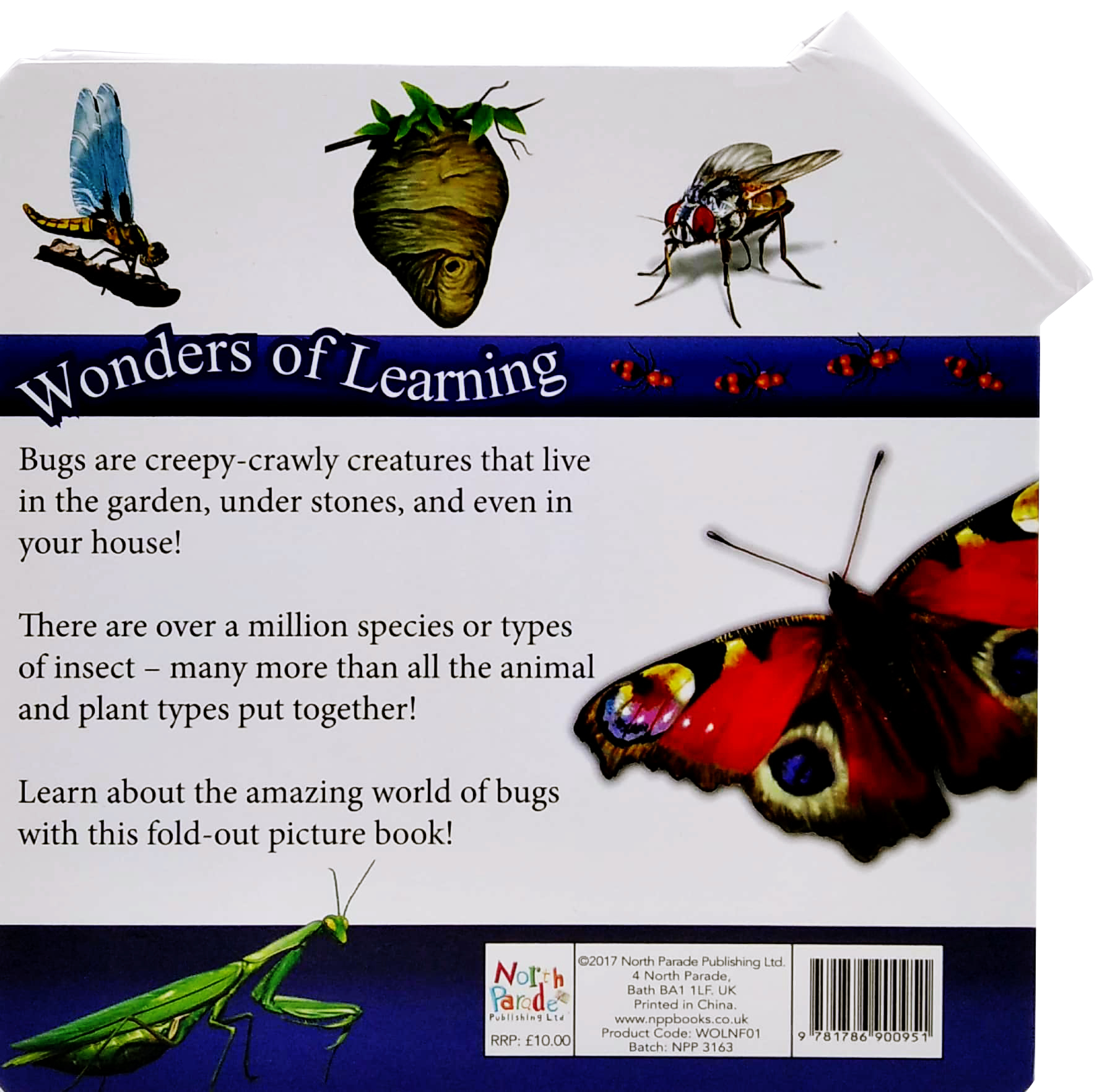 wonder of learning - my fold-out book of bugs - Ảnh 6