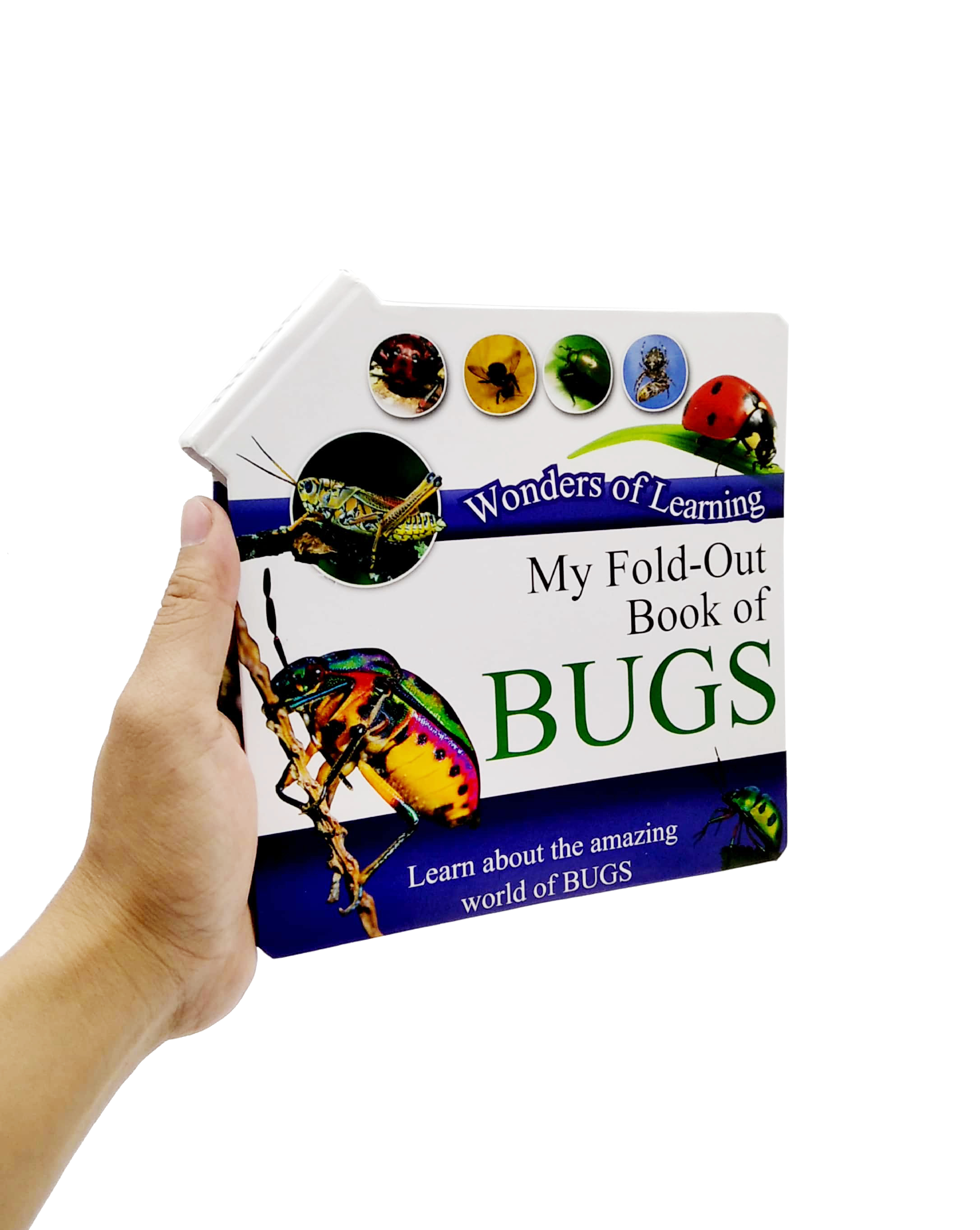 wonder of learning - my fold-out book of bugs - Ảnh 7
