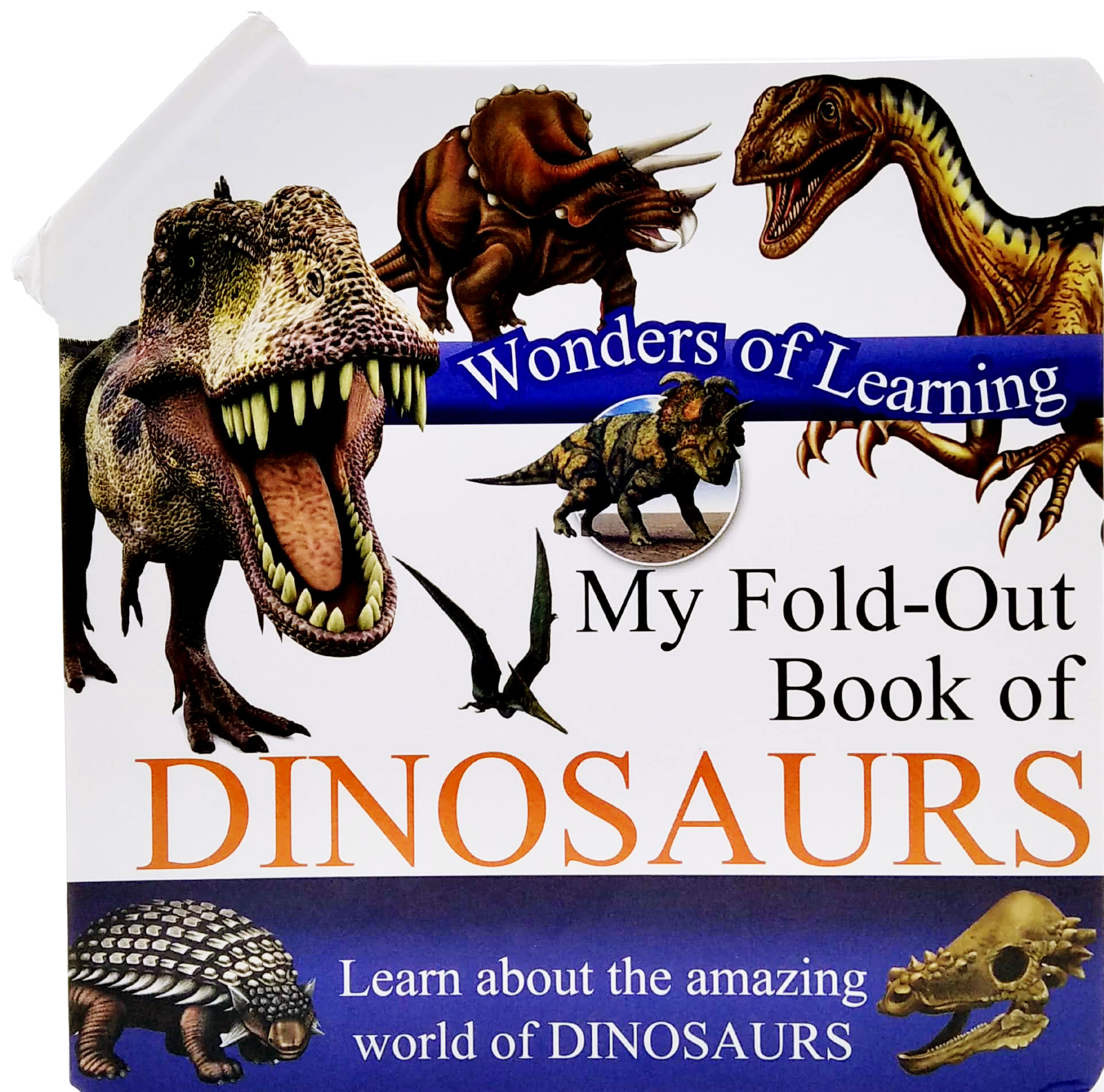 wonder of learning - my fold-out book of dinosaurs - Ảnh 2