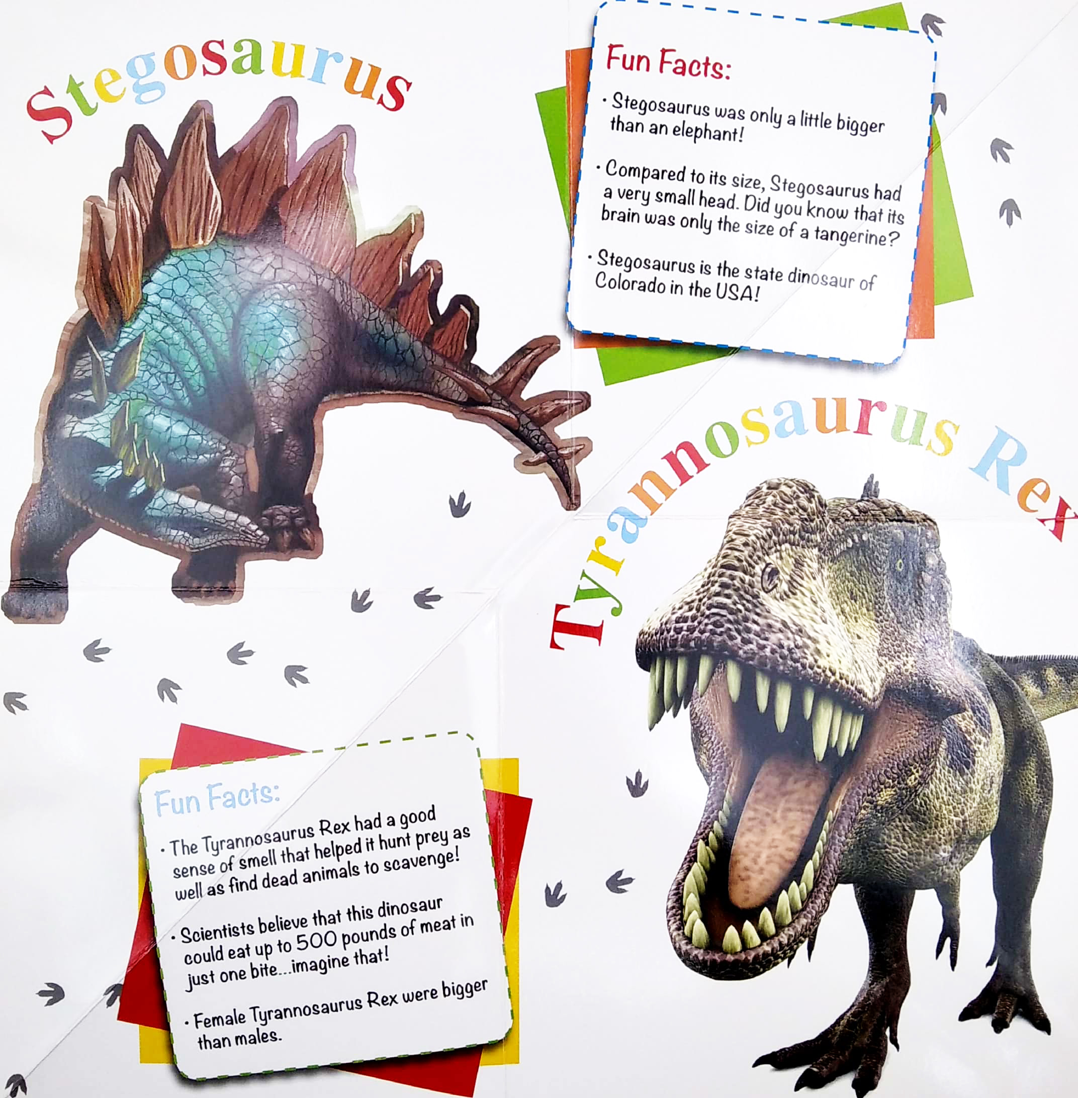 wonder of learning - my fold-out book of dinosaurs - Ảnh 3