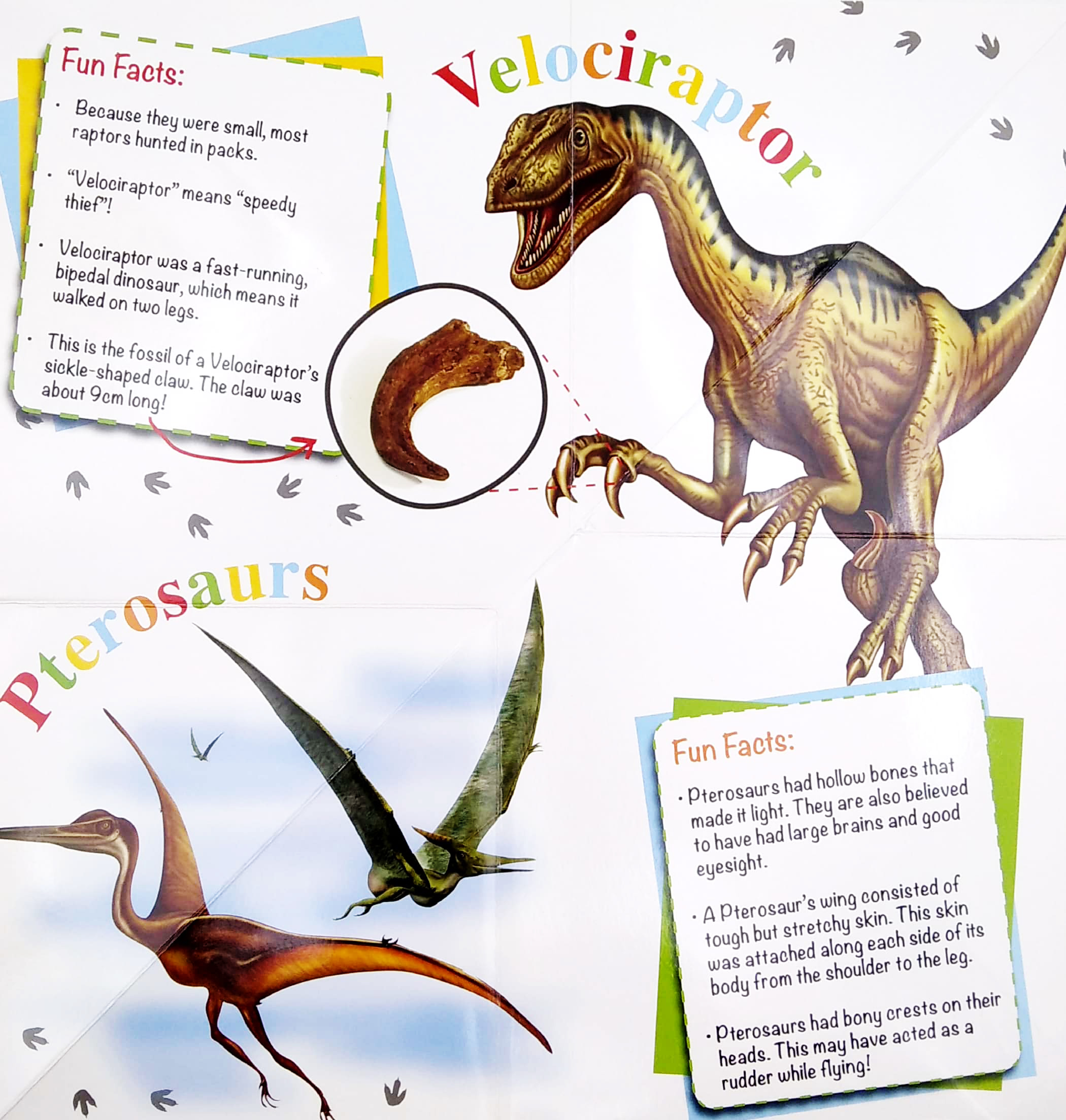 wonder of learning - my fold-out book of dinosaurs - Ảnh 4