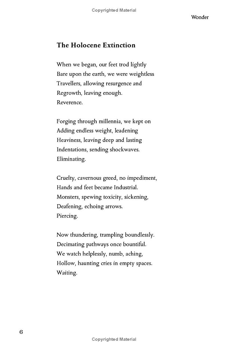 wonder - the natural history museum - Ảnh 15