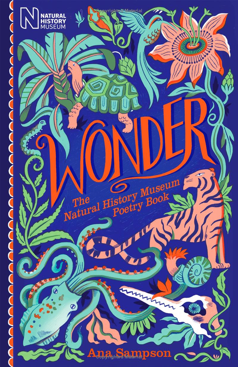 wonder - the natural history museum - Ảnh 2