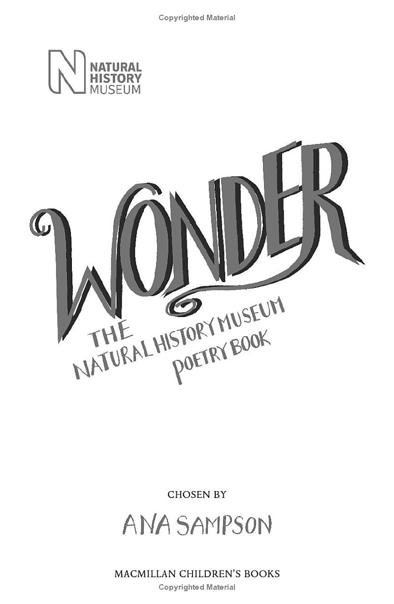 wonder - the natural history museum - Ảnh 3