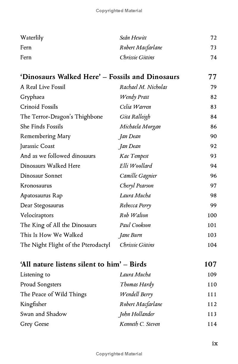 wonder - the natural history museum - Ảnh 7