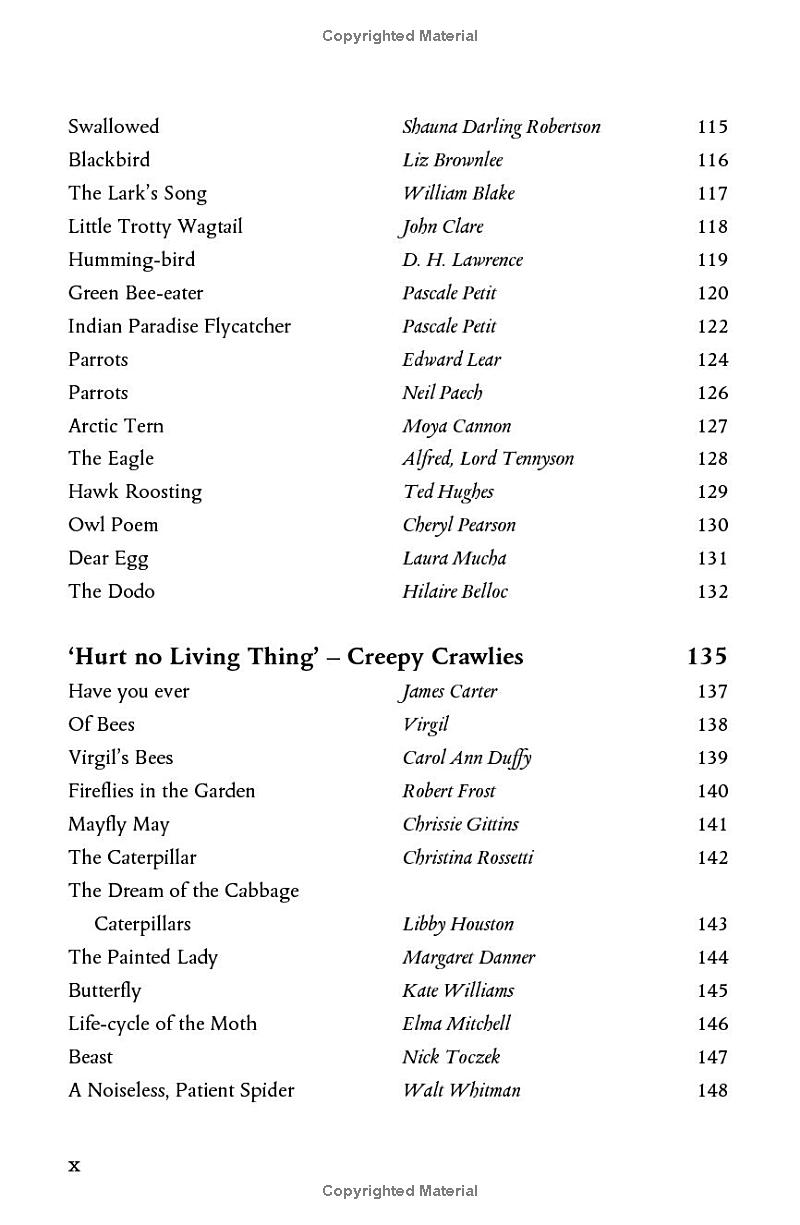 wonder - the natural history museum - Ảnh 8