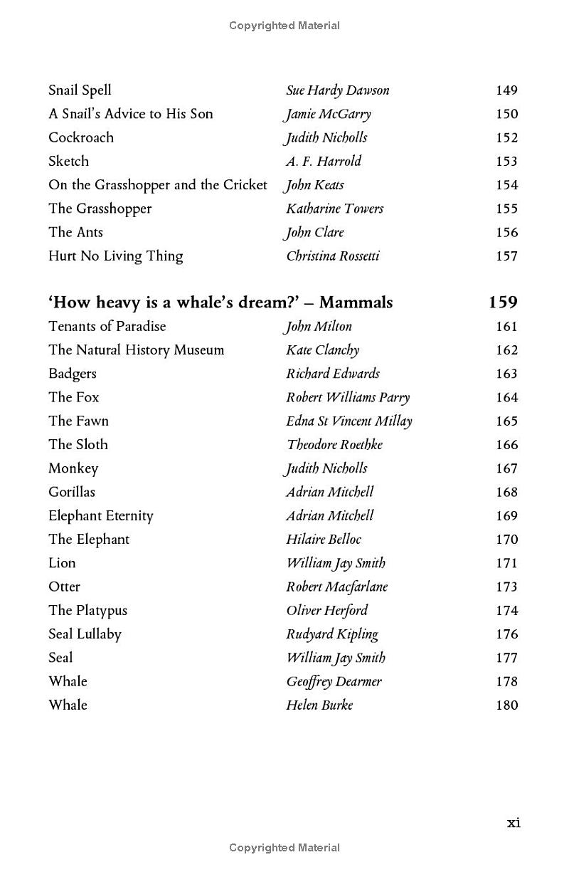 wonder - the natural history museum - Ảnh 9