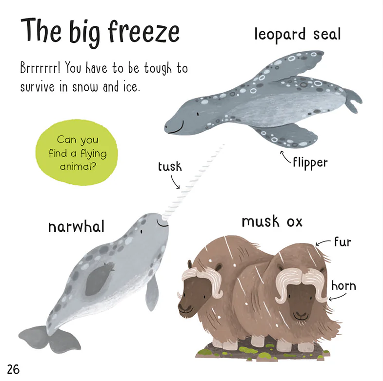 wonderful words: animals! - Ảnh 3