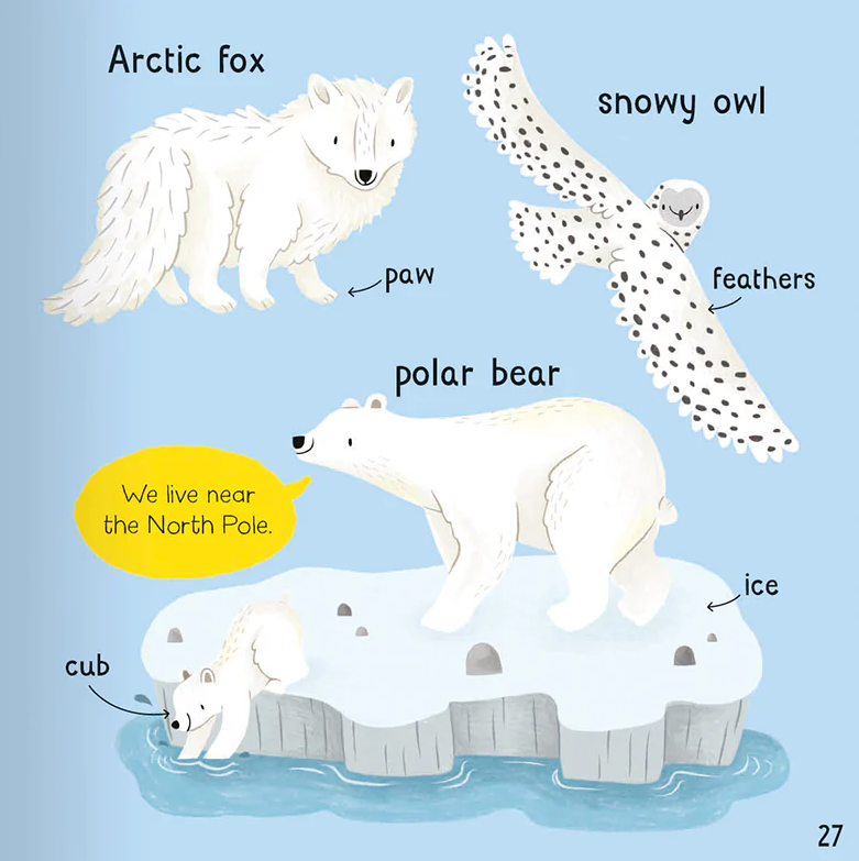 wonderful words: animals! - Ảnh 4