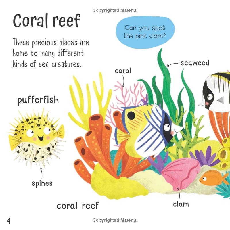 wonderful words - under the sea! - Ảnh 6