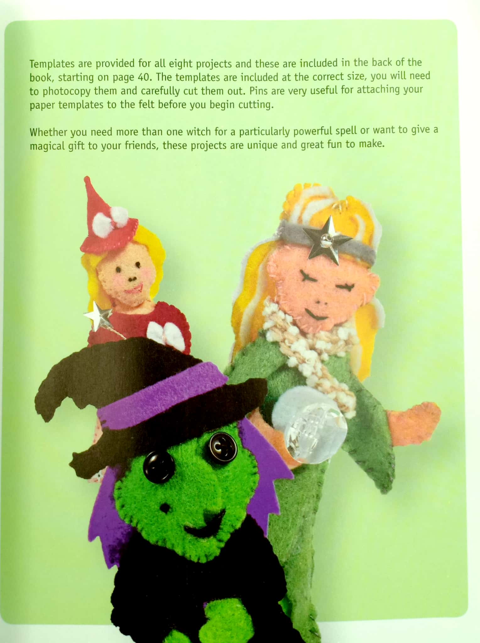 wonderfully wicked witches - Ảnh 6