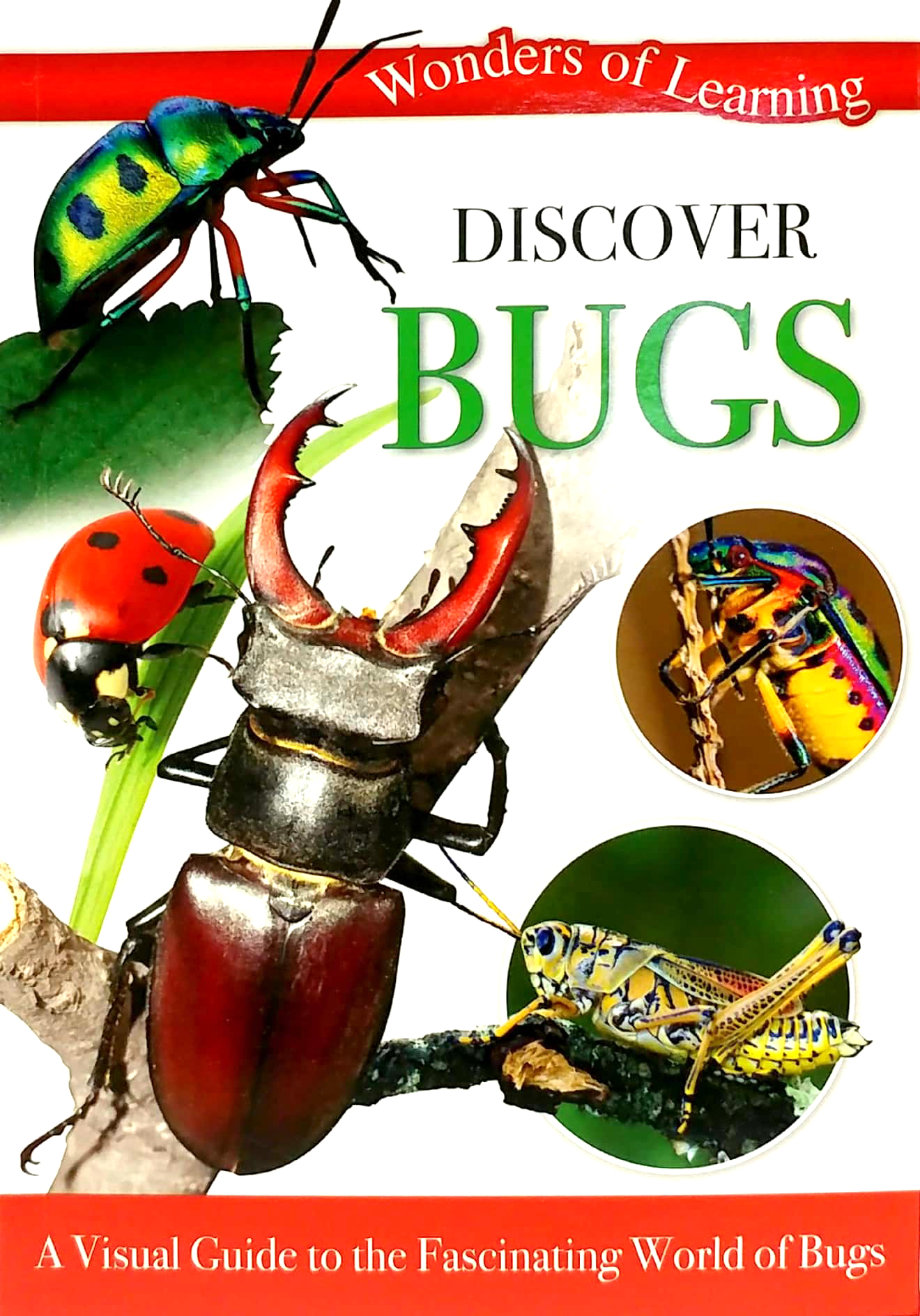 wonders of learning: discover bugs educational tin set - Ảnh 11