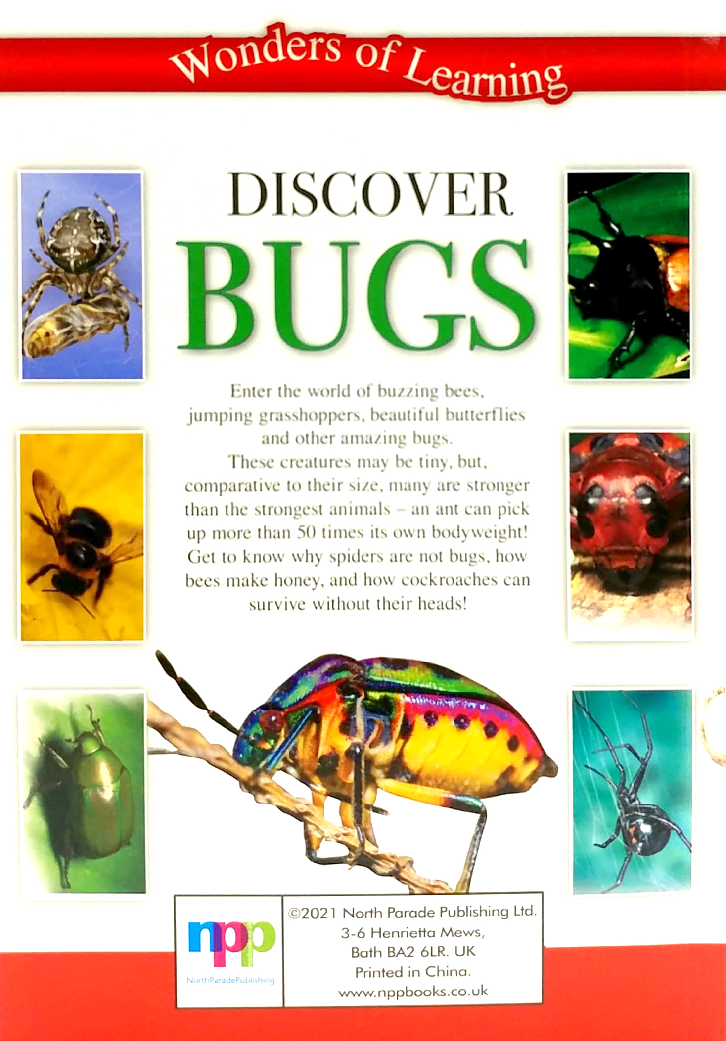 wonders of learning: discover bugs educational tin set - Ảnh 15