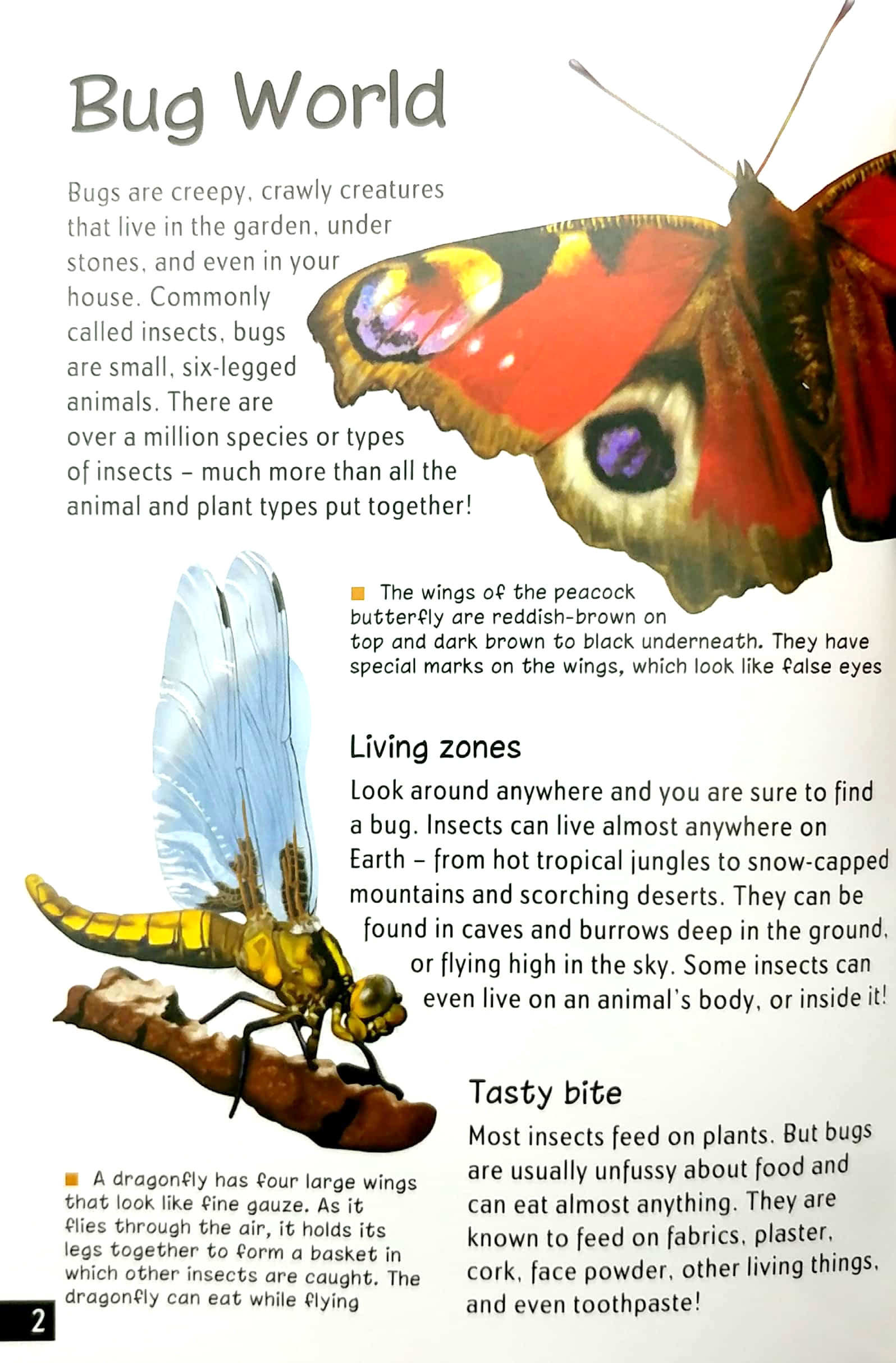 wonders of learning: discover bugs educational tin set - Ảnh 7