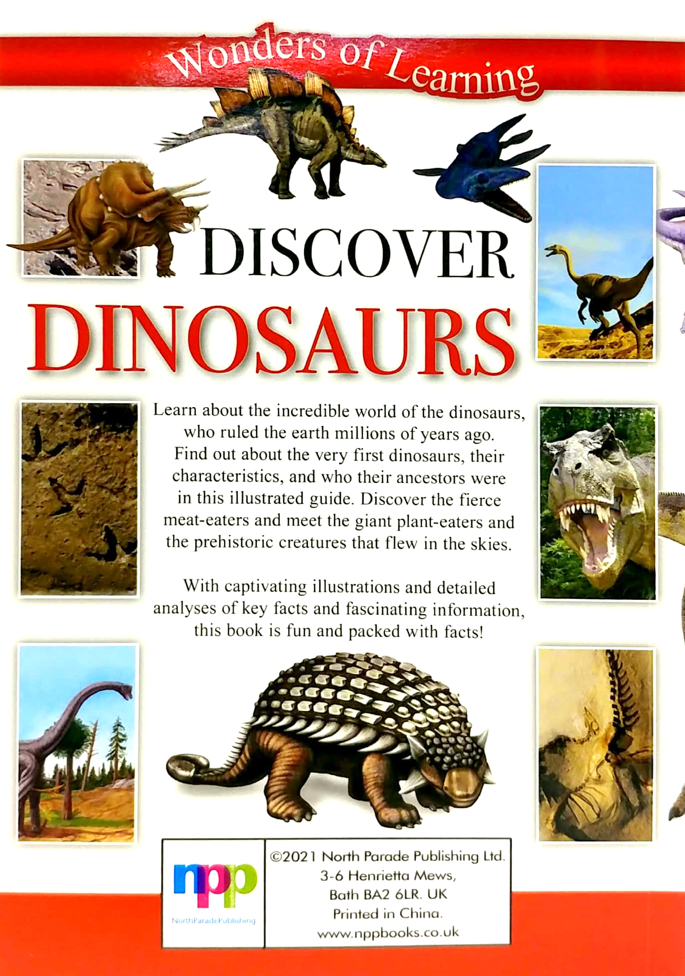 wonders of learning: discover dinosaurs educational tin set - Ảnh 5