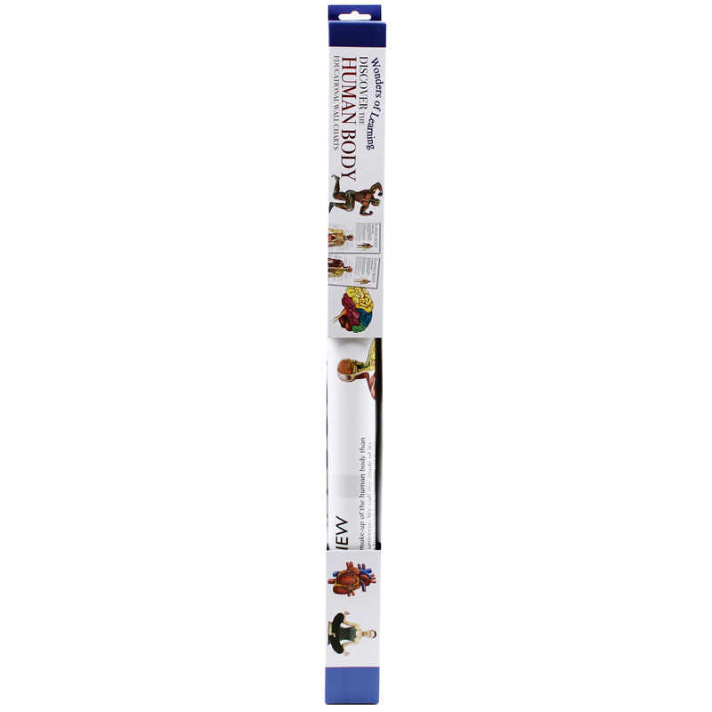 wonders of learning educational wall chart: discover the human body - Ảnh 2