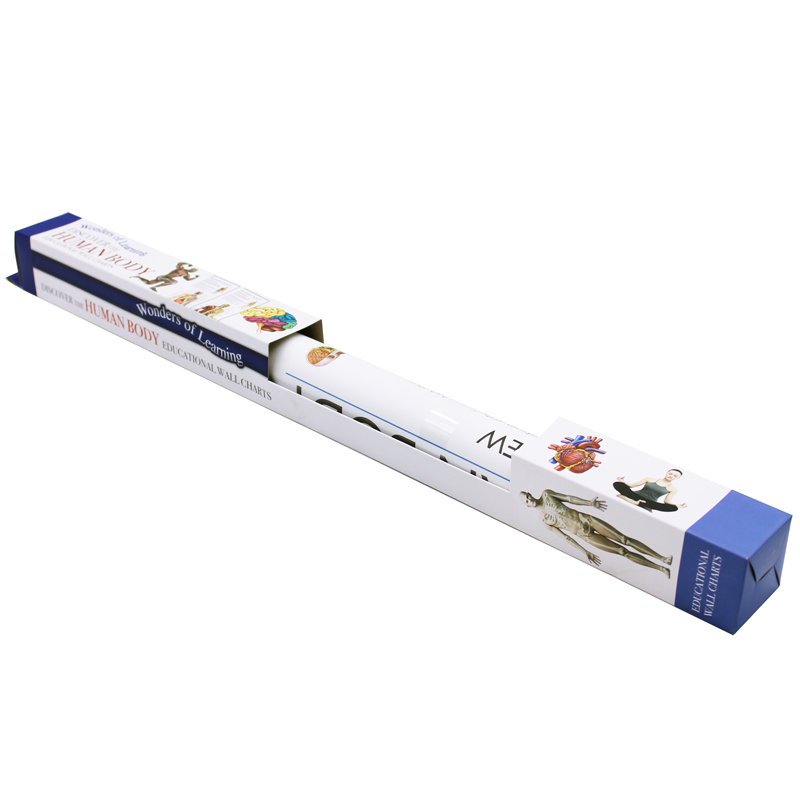 wonders of learning educational wall chart: discover the human body - Ảnh 4