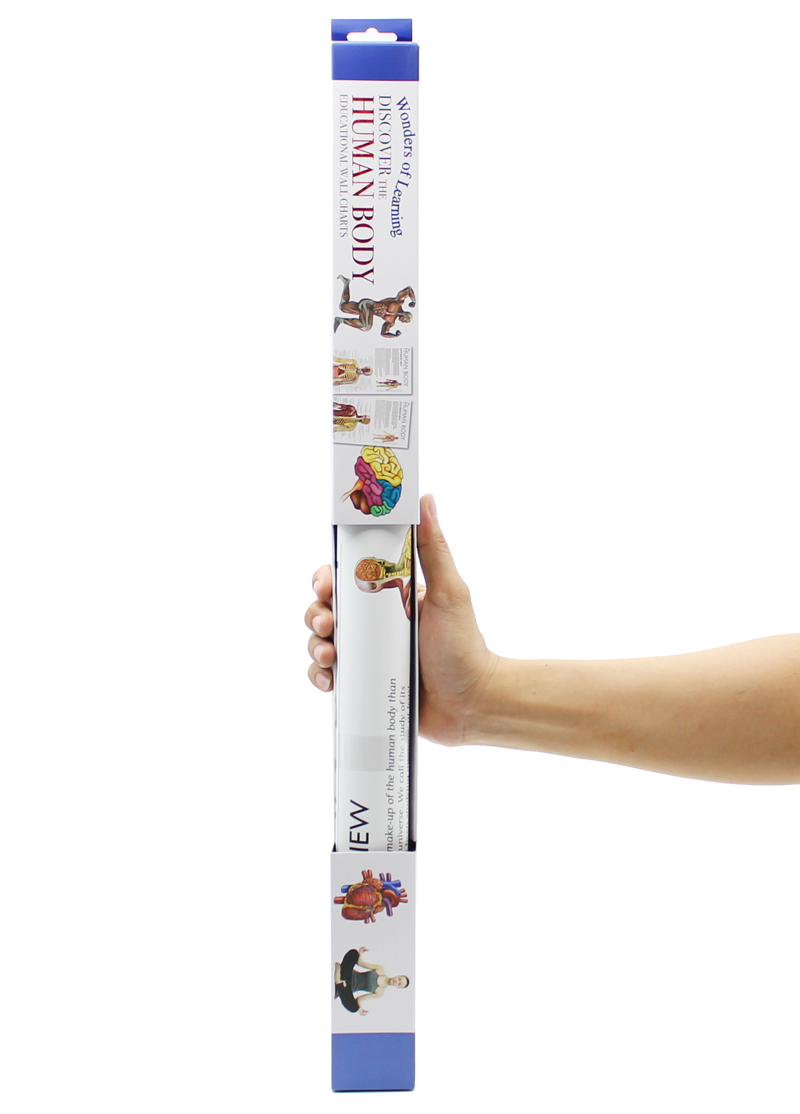 wonders of learning educational wall chart: discover the human body - Ảnh 6