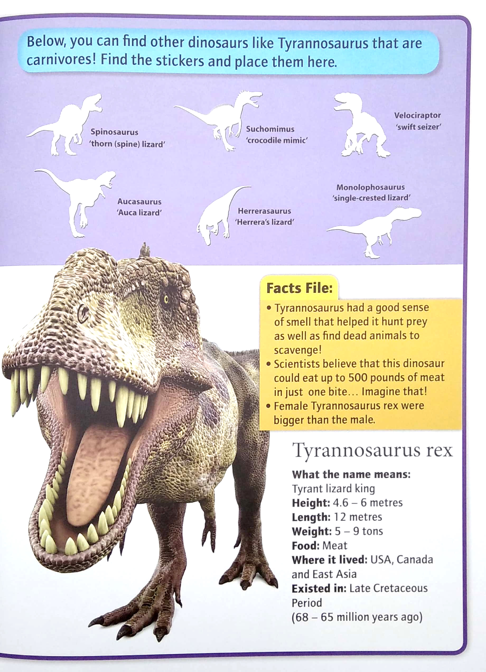wonders of learning - sticker book - discover dinosaurs - Ảnh 5
