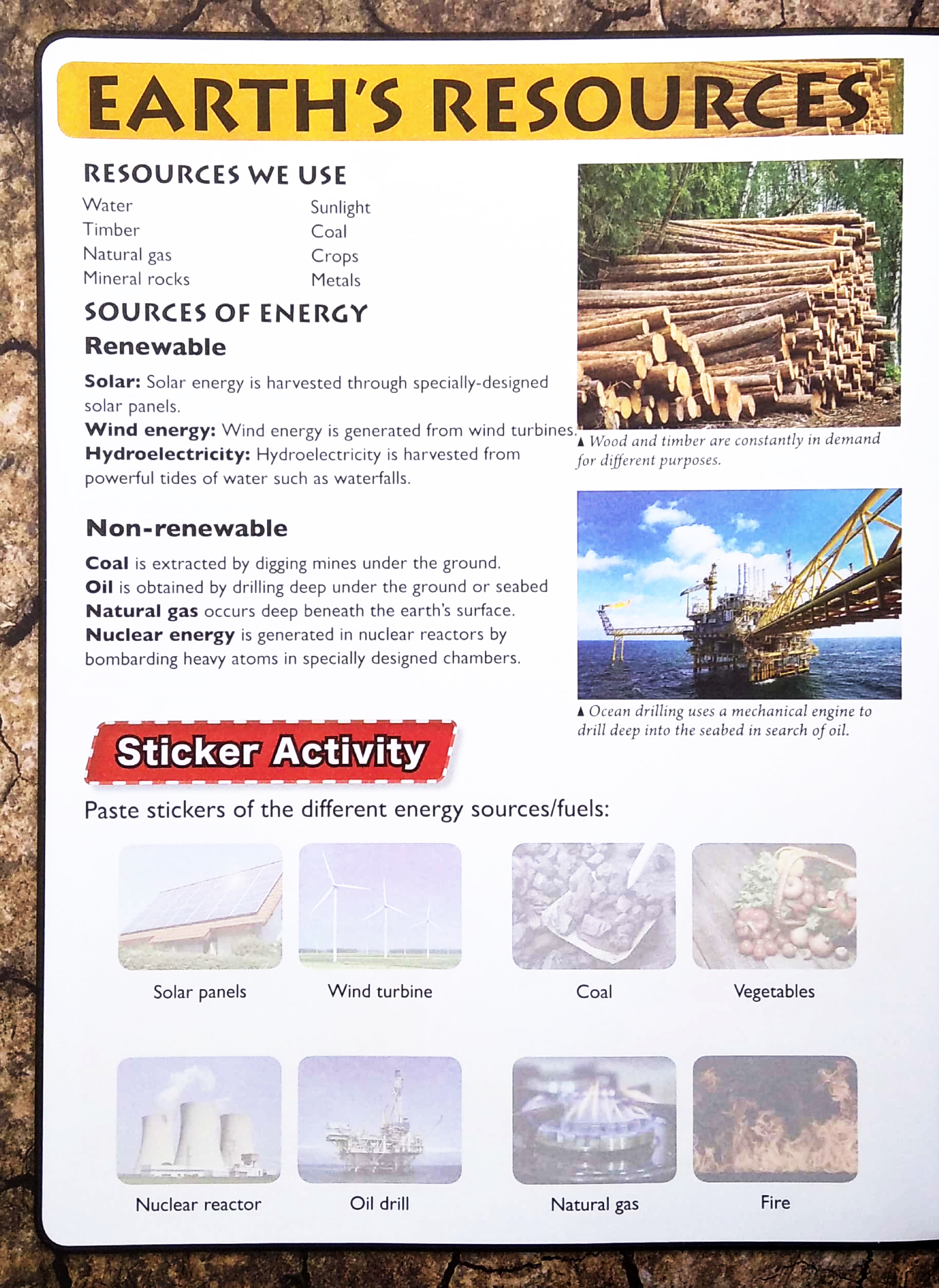 wonders of learning - sticker book - discover science - Ảnh 5