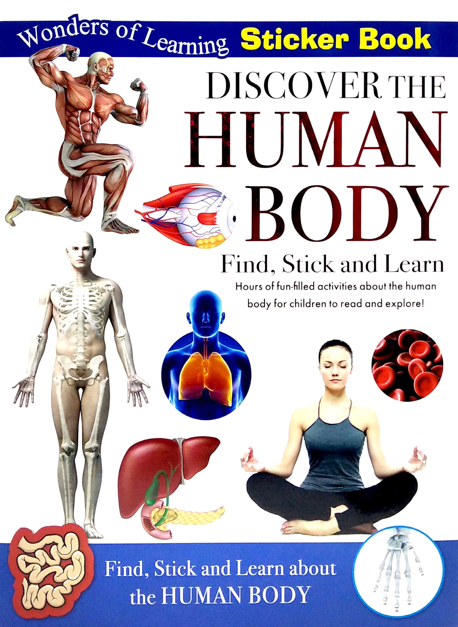 wonders of learning - sticker book - human body - Ảnh 2